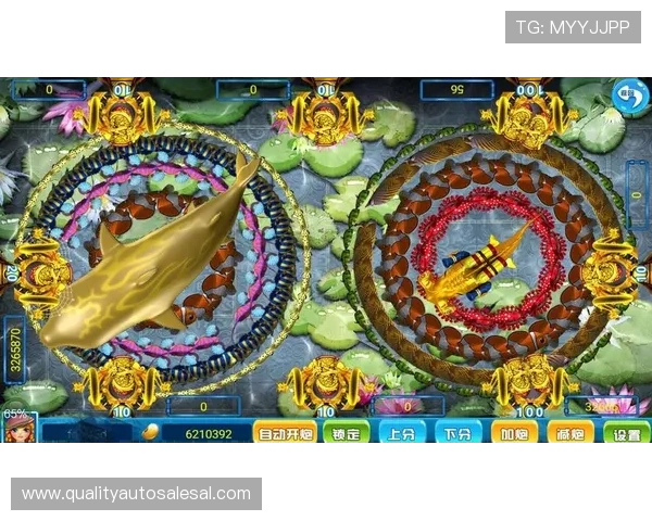 K8捕鱼网的盈利分析与投资建议帮助玩家合理规划游戏资金